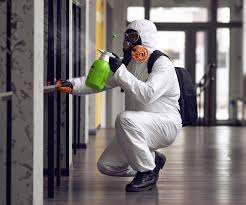 Professional Mold Removal Services in Gambier, OH